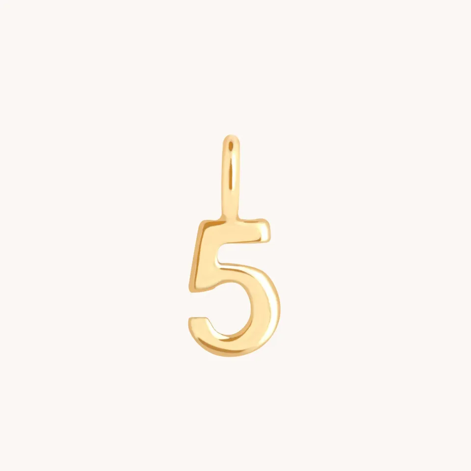 Astrid & Miyu 5 Charm 9k Gold charm or jaune éclat fin