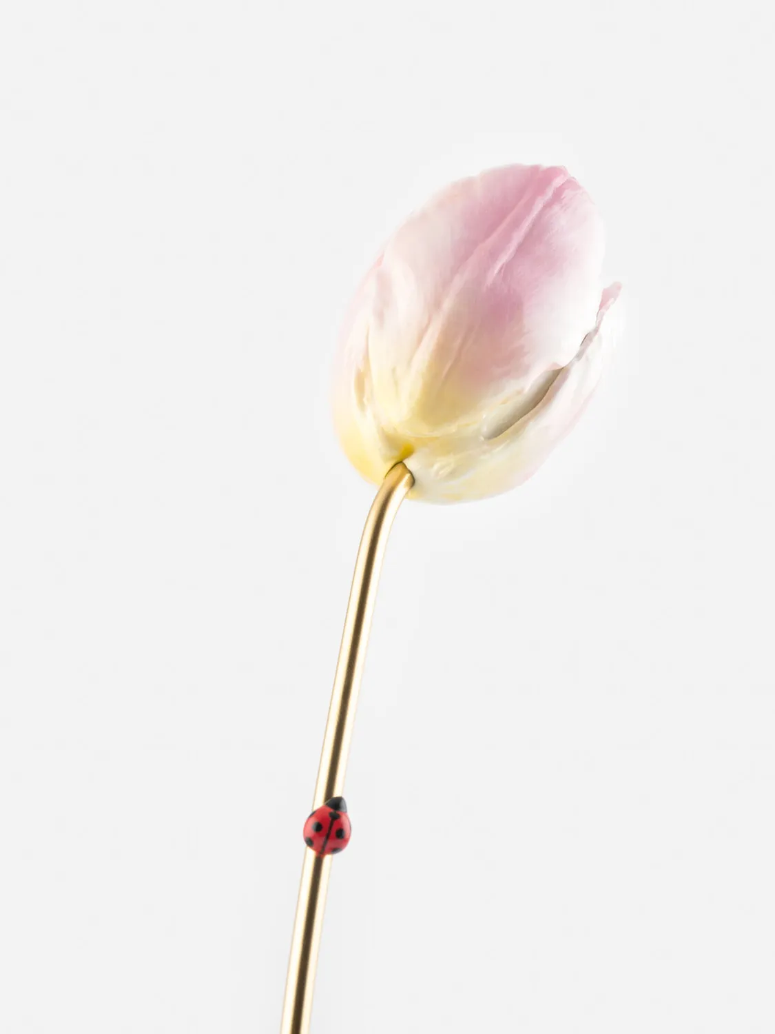 Nach Bijoux Tulipe éternelle rose sculpture porcelaine