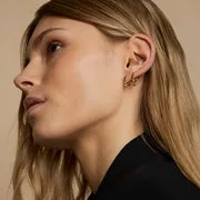 Astrid & Miyu Rope Daith anneau piercing or massif torsadé