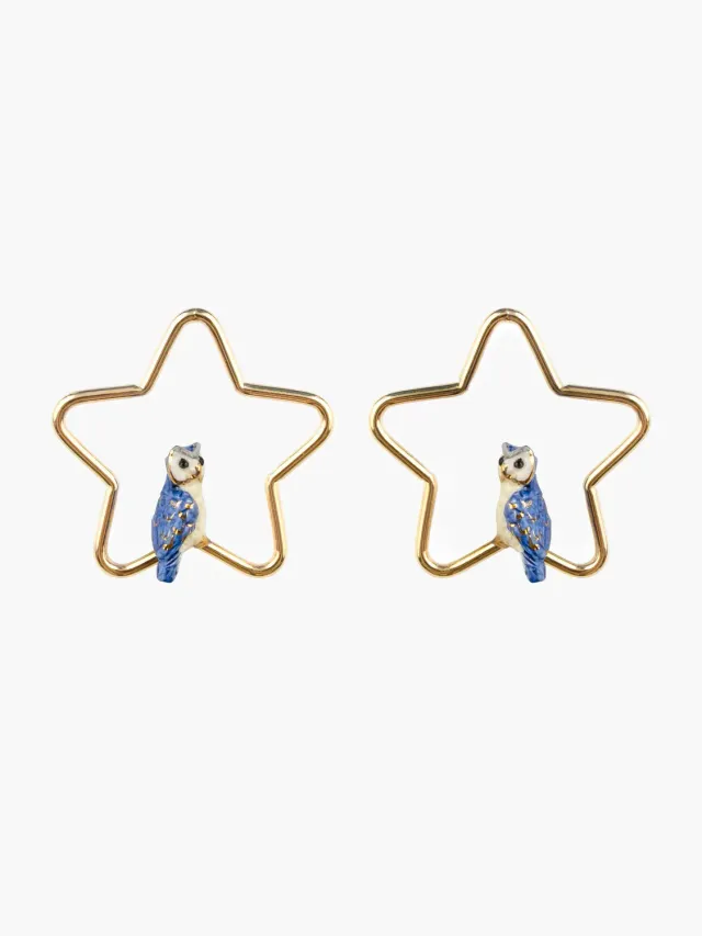 Nach Bijoux Chouette boucles d'oreilles étoiles bleu 3 cm