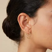 Astrid & Miyu Twist Large Hoops créoles or massif torsadé