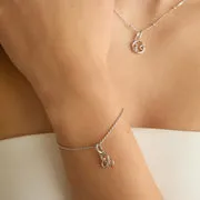 Astrid & Miyu Leo Zodiac charm clip lion argent