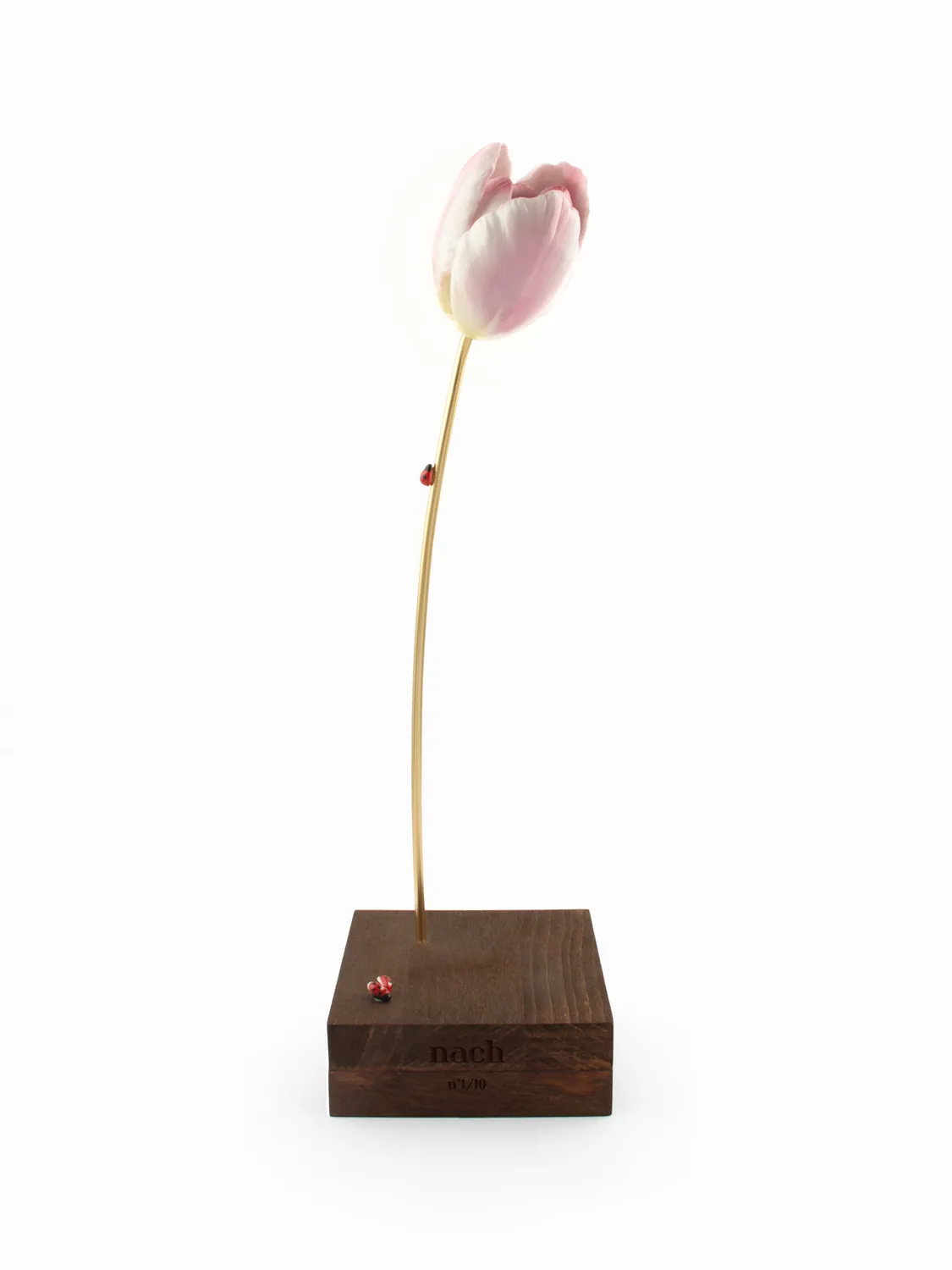 Nach Bijoux Tulipe éternelle rose sculpture porcelaine