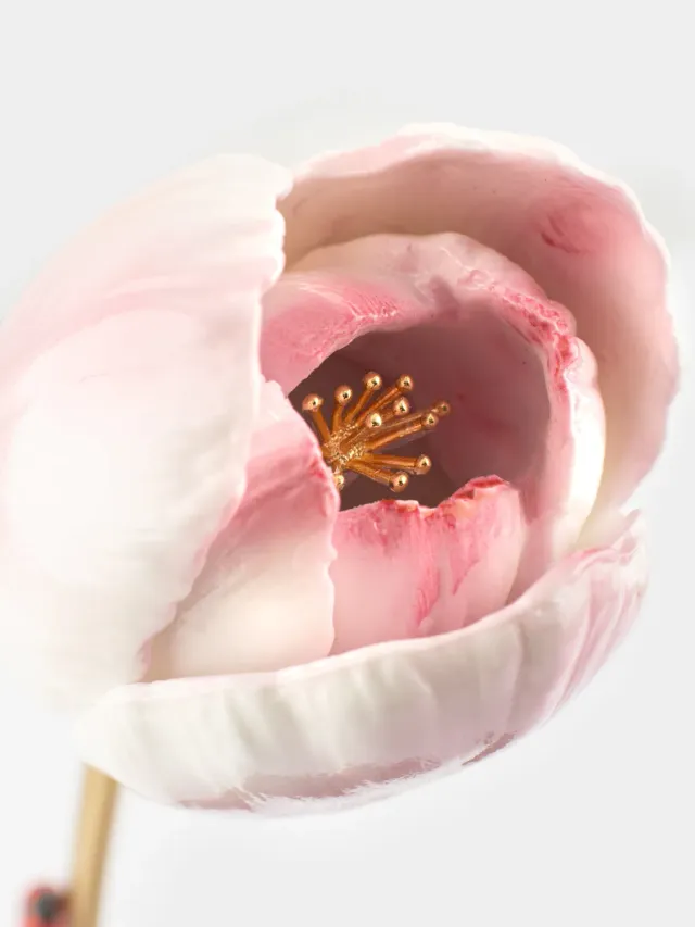 Nach Bijoux Tulipe éternelle rose sculpture porcelaine