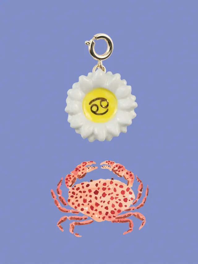 Nach Bijoux Astro charm’s Cancer breloque porcelaine fleur