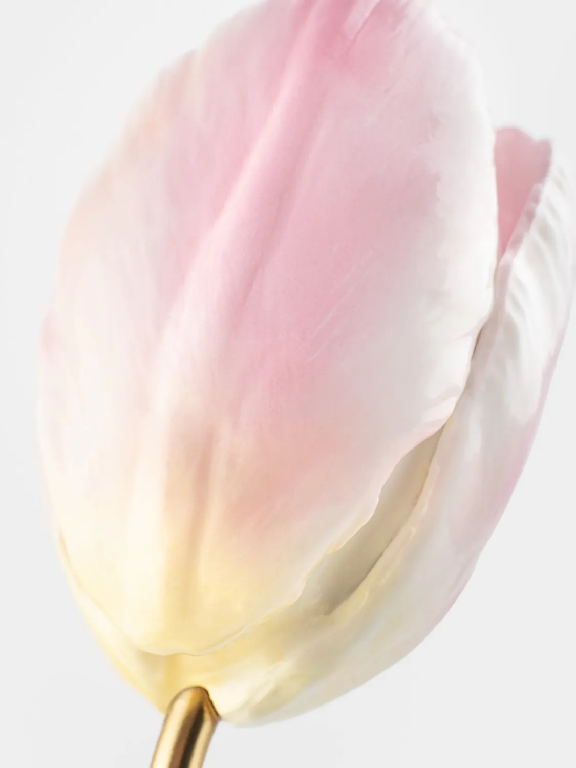 Nach Bijoux Tulipe éternelle rose sculpture porcelaine