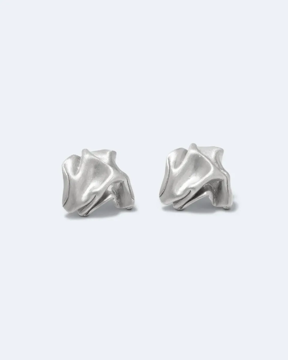 Completedworks Notsobig Groundswell clous d'oreilles platiné