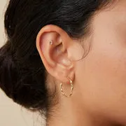 Astrid & Miyu Pavé Horseshoe piercing or massif pavé