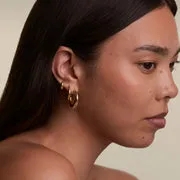 Astrid & Miyu Dome Hoops créoles dorées bombées